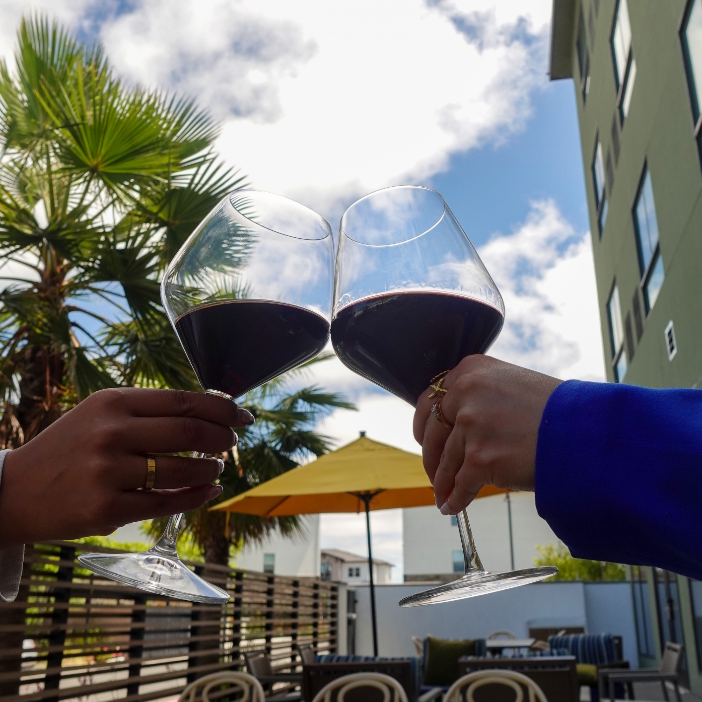 Close-up of wine glasses clinking, capturing regional asset creation for a Sonoma hospitality brand.